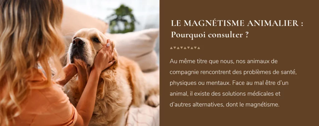 Comment le magnétisme animalier fonctionne